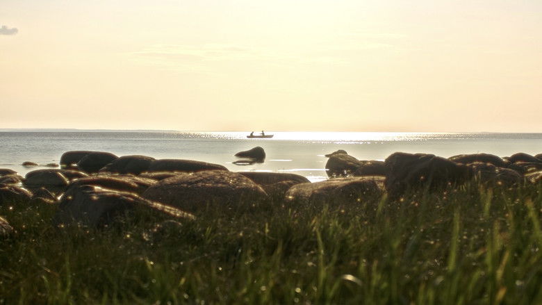 кадр из фильма Palve