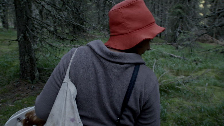 кадр из фильма Olanda