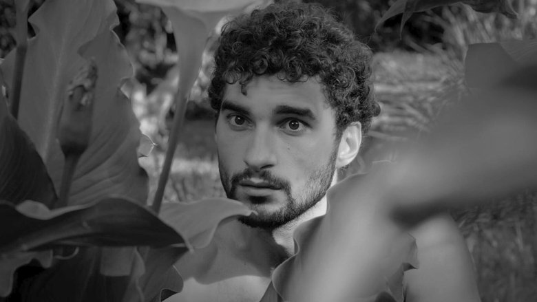 кадр из фильма Perro perro