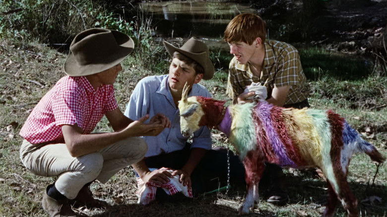 кадр из фильма Funny Things Happen Down Under