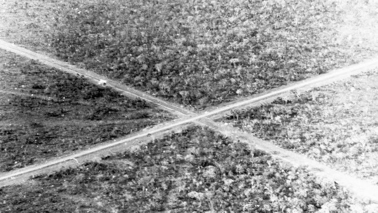 кадр из фильма Além do Sonho