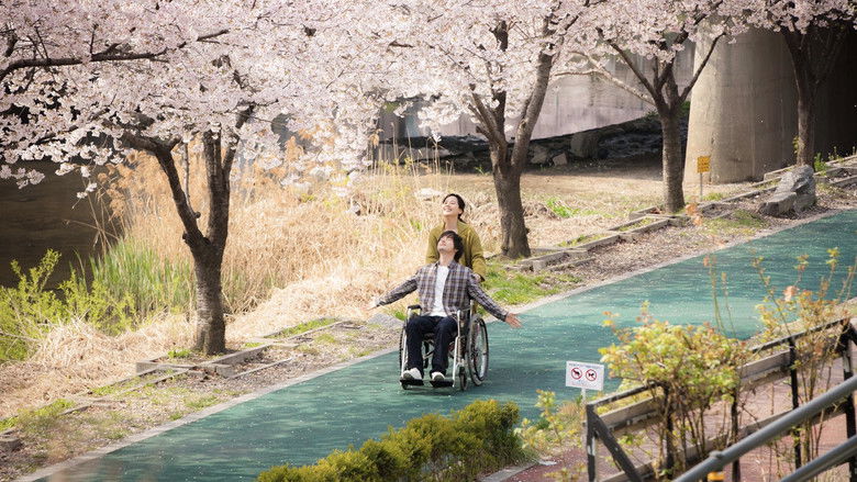 кадр из фильма 종이꽃