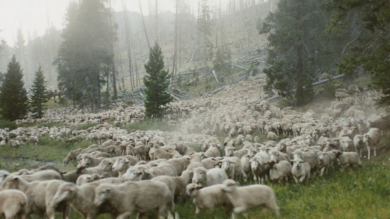 кадр из фильма Sweetgrass