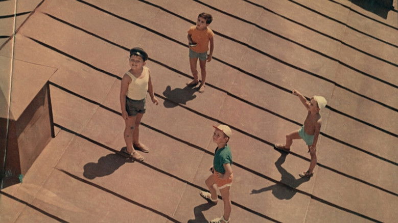 кадр из фильма Человек идет за солнцем