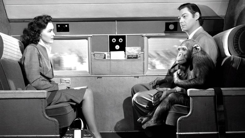 кадр из фильма Приключения Тарзана в Нью-Йорке