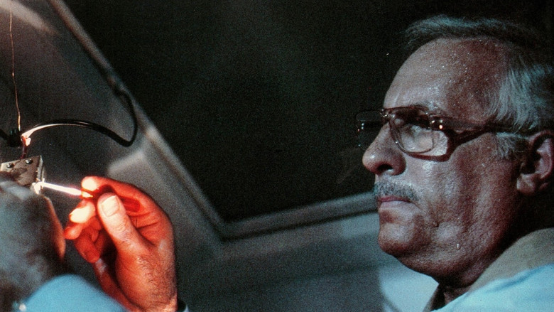 кадр из фильма Святая невинность