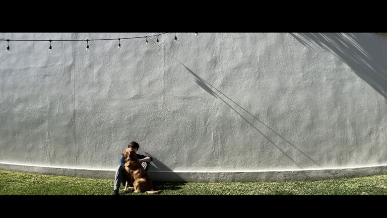 кадр из фильма Un Dia Solitario en Invierno