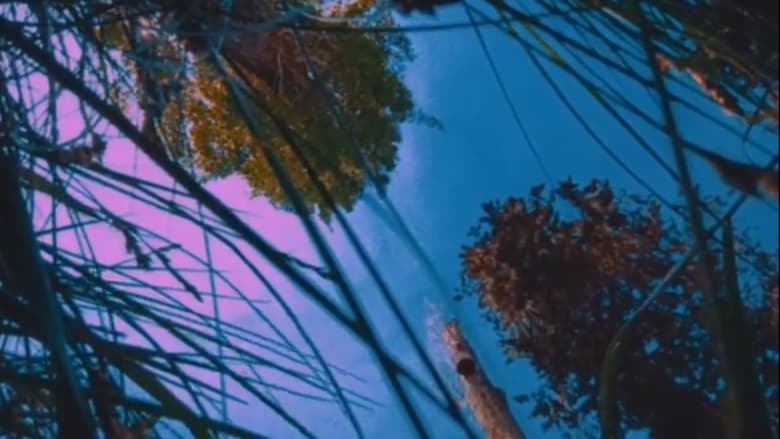 кадр из фильма Nostalgia of Everything