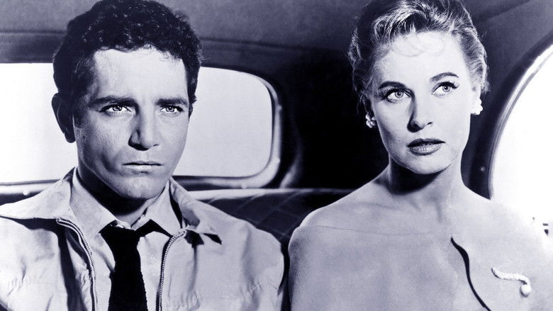 кадр из фильма A Cold Wind in August