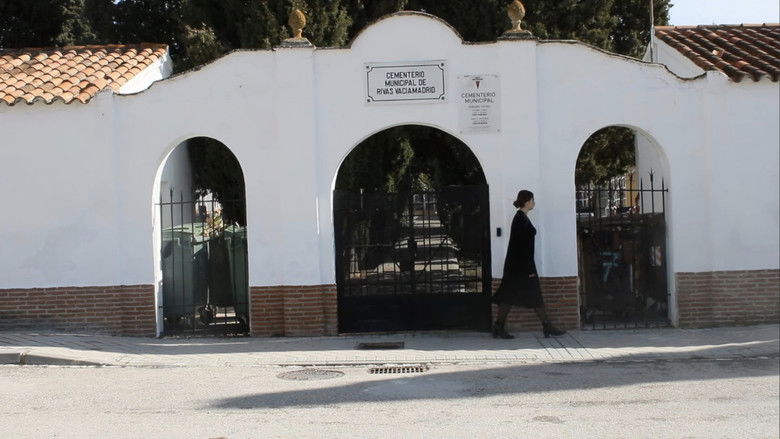 кадр из фильма SAUDADE