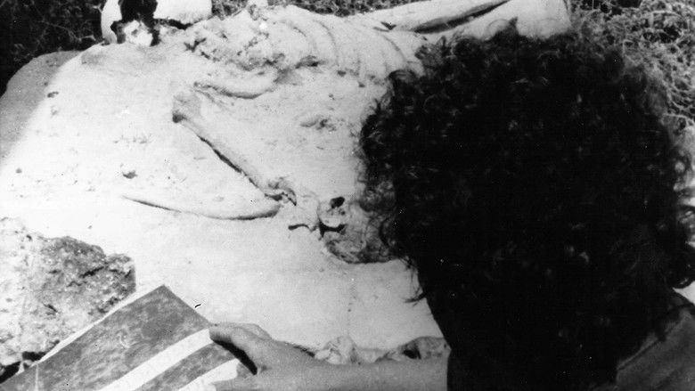 кадр из фильма El regreso de Sabina