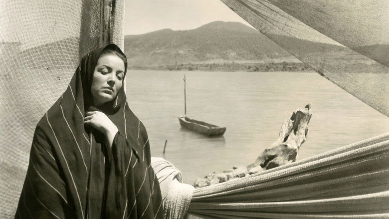 кадр из фильма Макловия