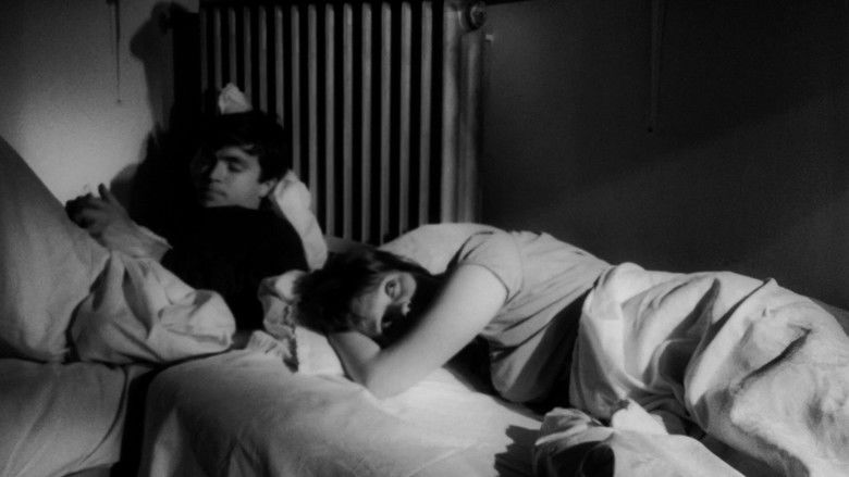 кадр из фильма Stella