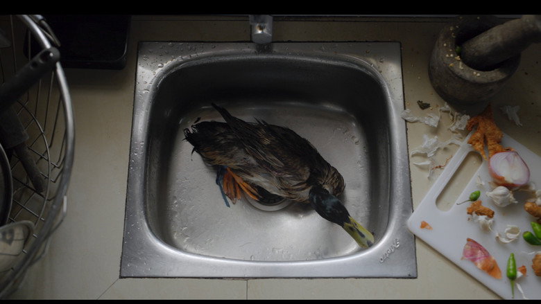 кадр из фильма a duck tale