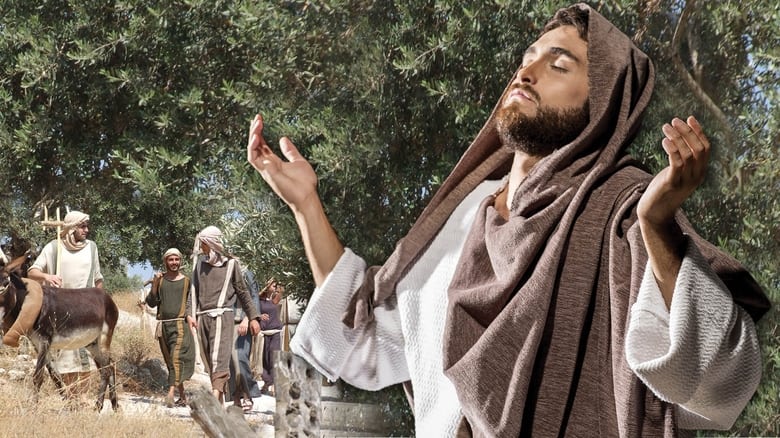 кадр из фильма Where Jesus Walked