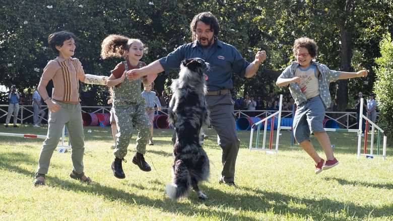 кадр из фильма Академия четвероногих