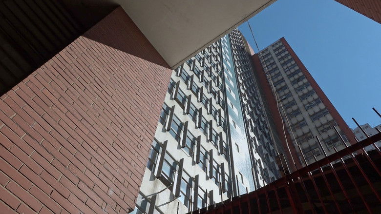 кадр из фильма Concreto Vivo