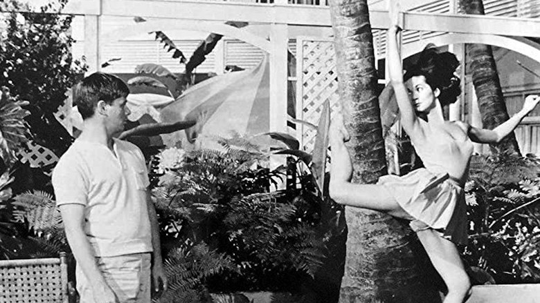 кадр из фильма Honeymoon Hotel