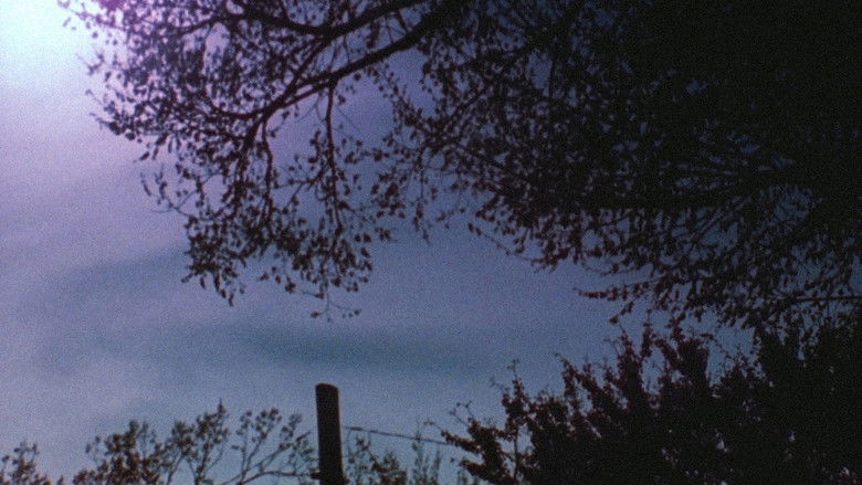 кадр из фильма Visions in Meditation #4: D.H. Lawrence