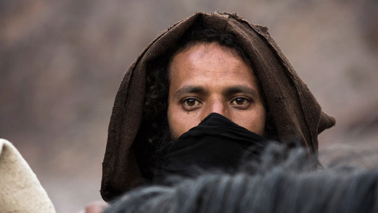 кадр из фильма Мимозы