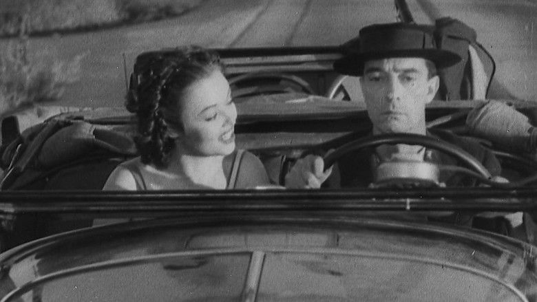 кадр из фильма The Timid Young Man