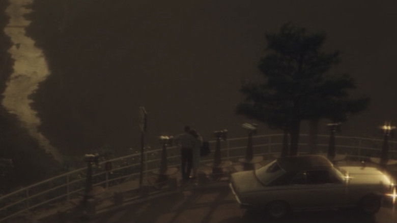 кадр из фильма 五月みどりの かまきり夫人の告白