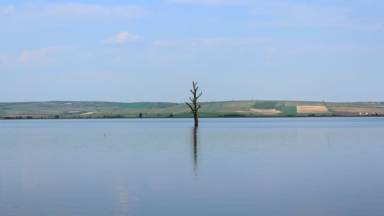 кадр из фильма Ztracený břeh