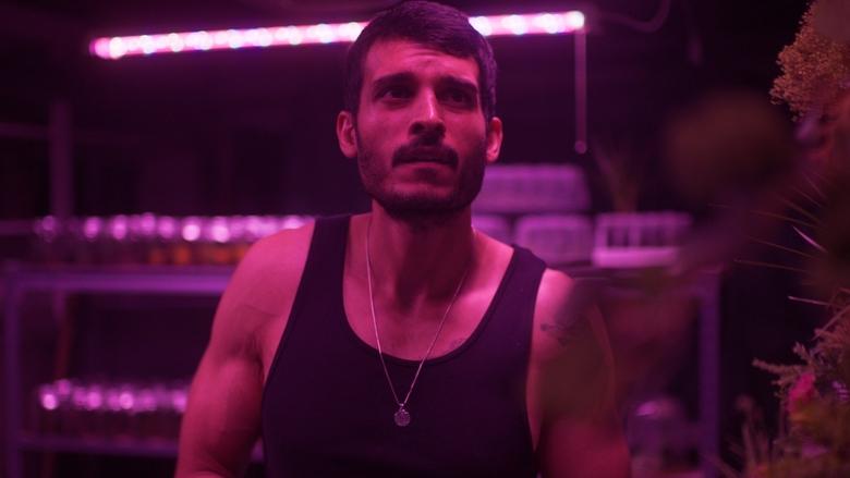 кадр из фильма Tacoma