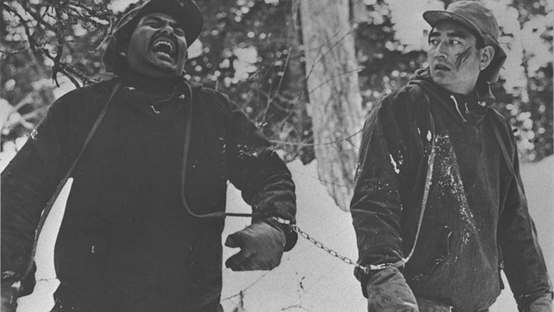 кадр из фильма 網走番外地