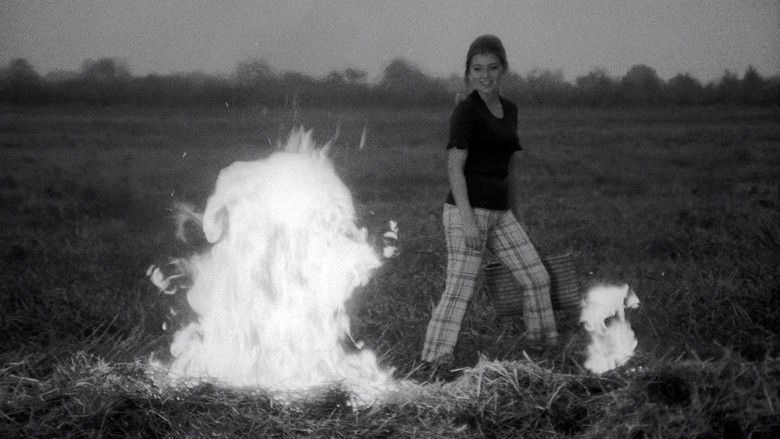 кадр из фильма Szabad lélegzet