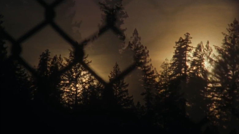 кадр из фильма Total Fiction