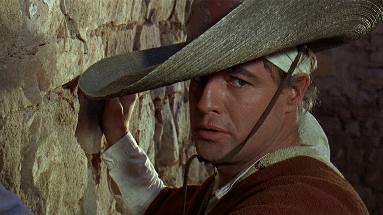 кадр из фильма Аппалуза