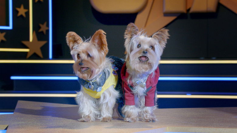 кадр из фильма Pup Star: Better 2Gether