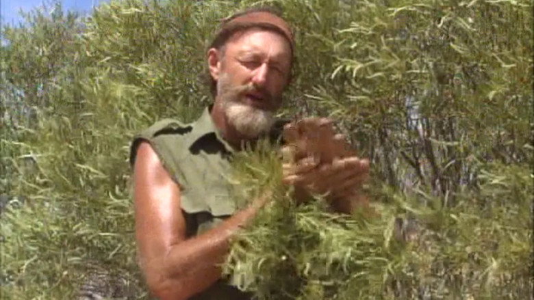 кадр из фильма Survival In The Outback