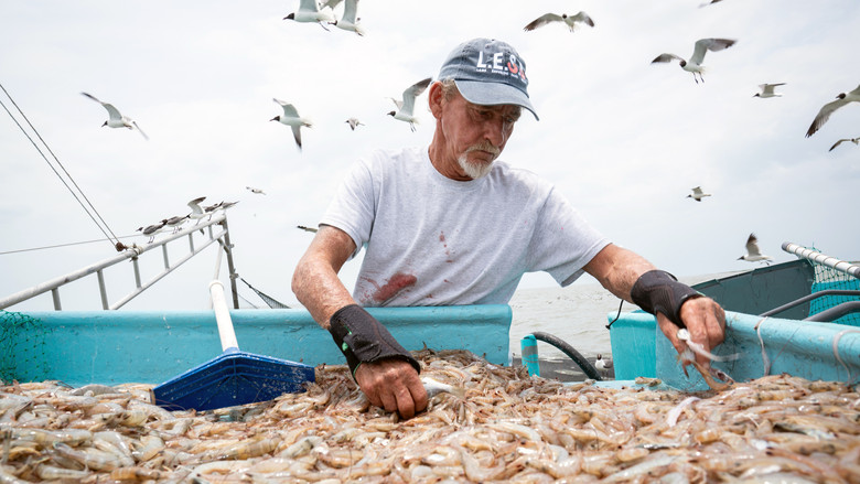 кадр из фильма Last of the Shrimpers