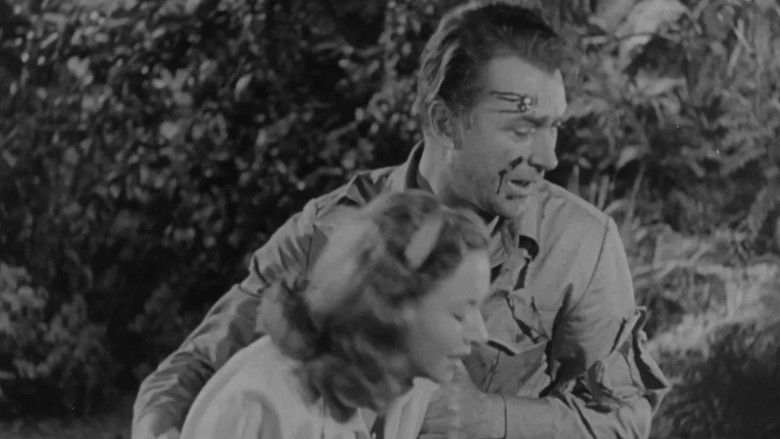 кадр из фильма Angel on the Amazon