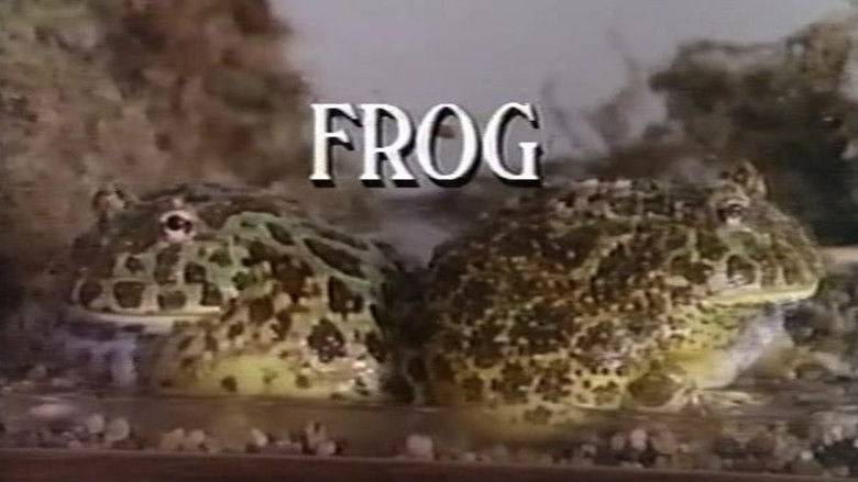 кадр из фильма Frog