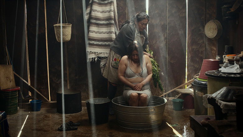 кадр из фильма Oc ni temiki (Sigo soñando)