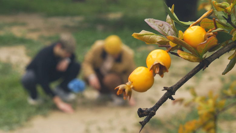 кадр из фильма Kore