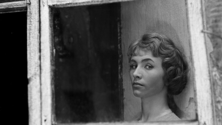 кадр из фильма Nikt nie woła