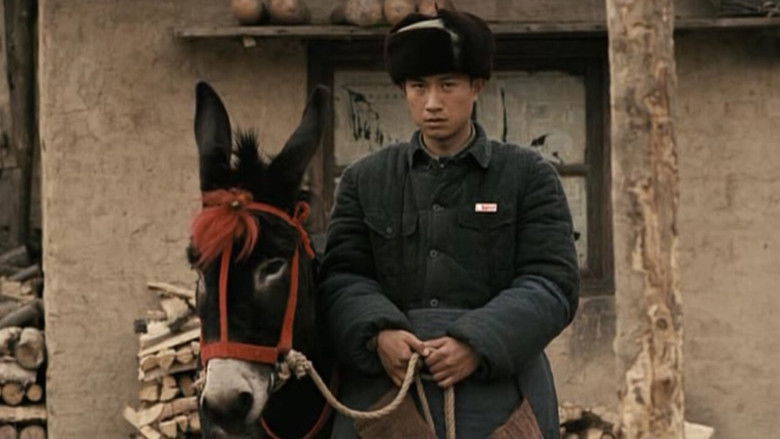 кадр из фильма 走着瞧