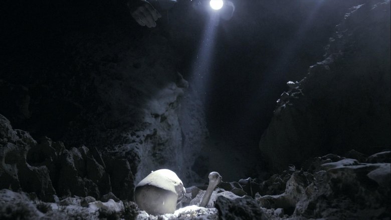 кадр из фильма NOVA: First Face of America