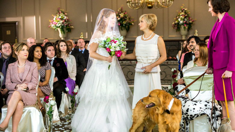 кадр из фильма Собаки моих бывших