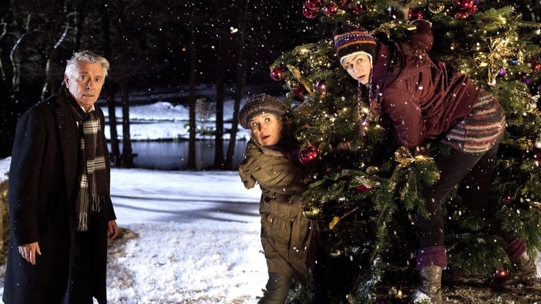 кадр из фильма Weihnachten … ohne mich, mein Schatz!