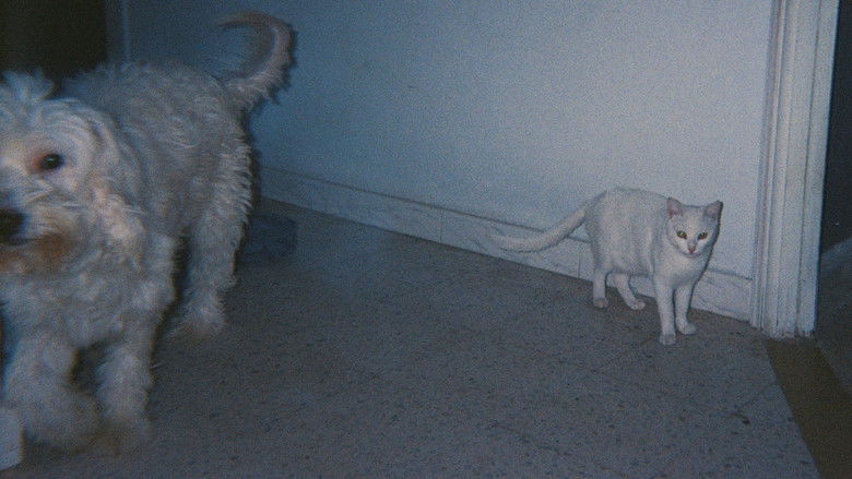 кадр из фильма Bamssi