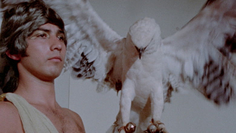 кадр из фильма Sex & Astrology