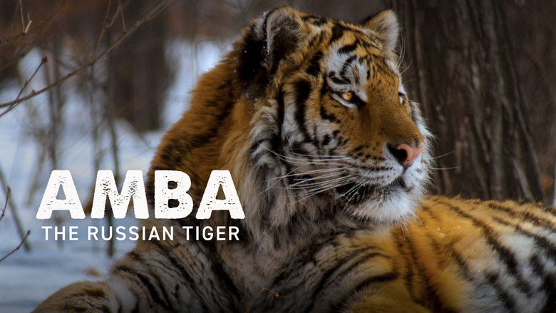 кадр из фильма Amba: The Russian Tiger