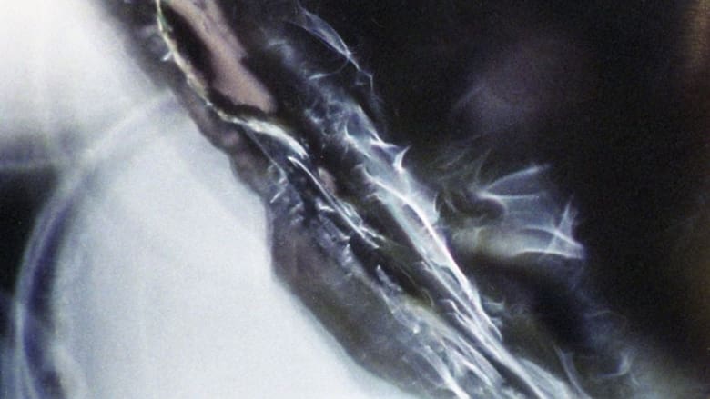 кадр из фильма Voluptuous Sleep