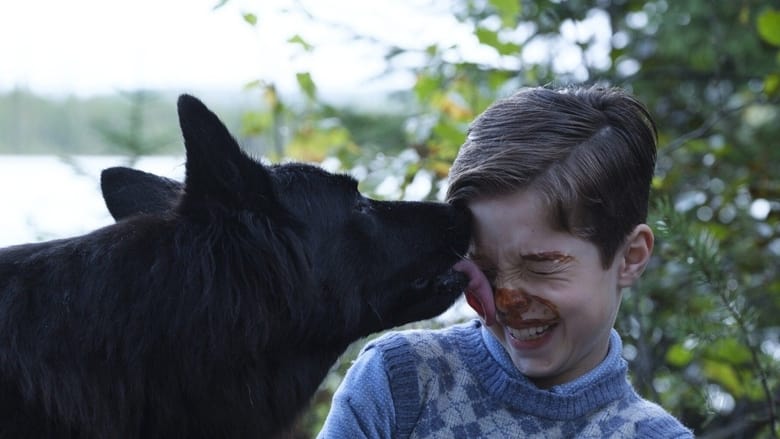 кадр из фильма Жюль и Аша в стране индейцев