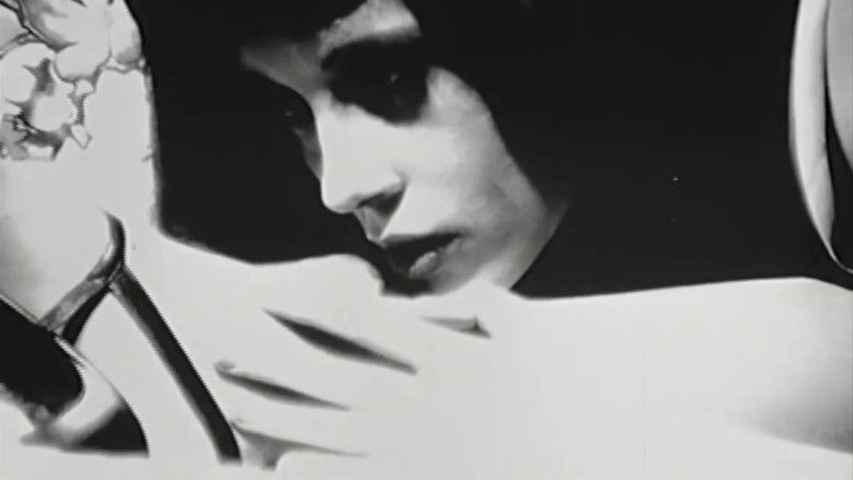 кадр из фильма FRANZ ZWARTJES : 